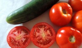 小驰娱乐吃瓜,揭秘娱乐圈最新吃瓜事件，带你领略明星幕后故事